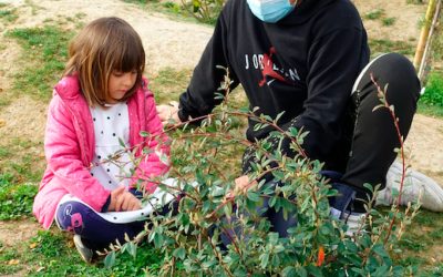 CEIP Parque Europa