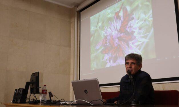 Conferencia Impacto del cambio climático en las comunidades de lepidópteros. E. Murria