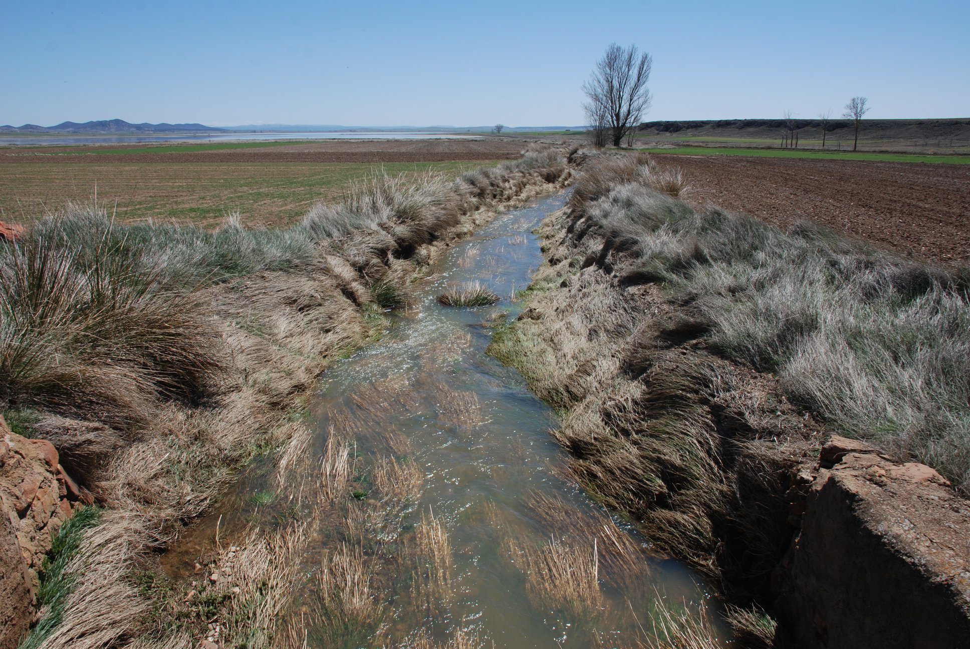 Aragón contra el cambio climático (5)
