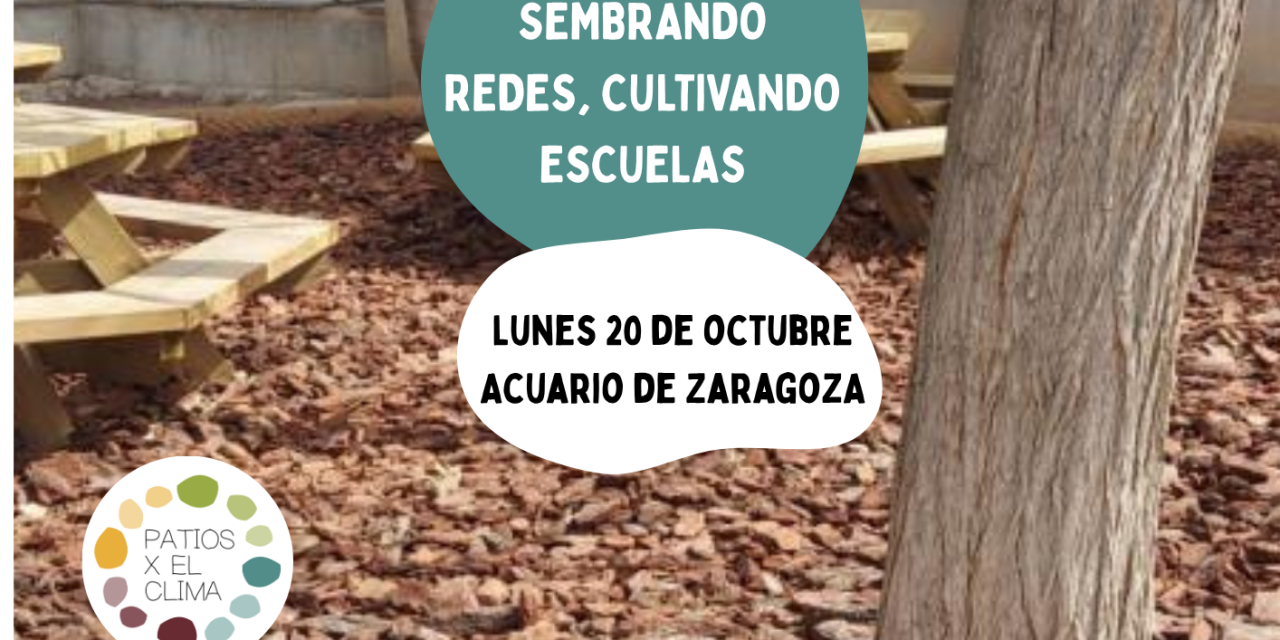 Zaragoza acoge el IV Encuentro Patios X El Clima