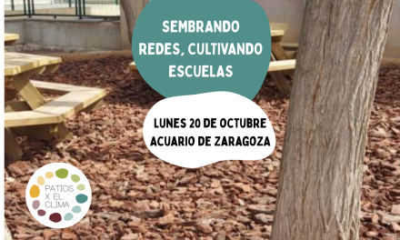 Zaragoza acoge el IV Encuentro Patios X El Clima