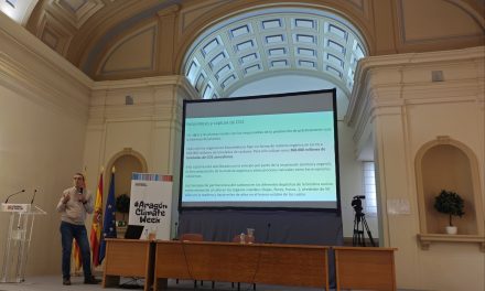 Conferencia El papel de los bosques como sumidero de carbono. E. Arrechea