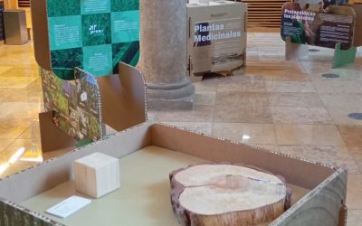 Conferencia sobre las repoblaciones forestales en Aragón
