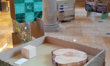 Conferencia sobre las repoblaciones forestales en Aragón