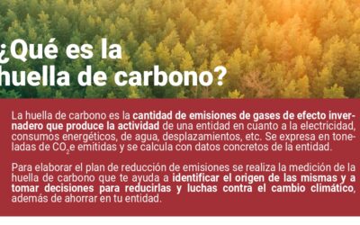 El Gobierno de Aragón calcula su huella de carbono