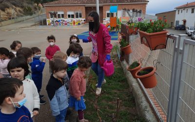 CEIP el Justicia de Aragón