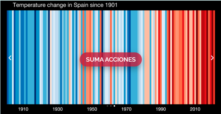 suma acciones