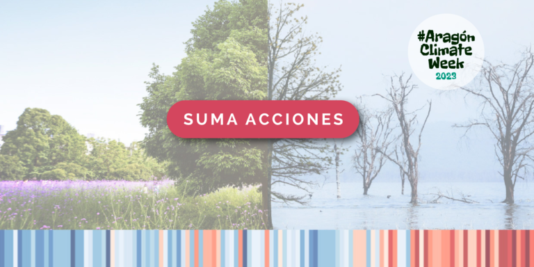 suma acciones ovalo